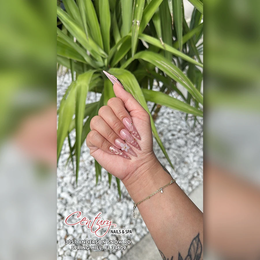 Century Nails